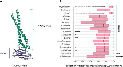 Proteome-wide comparison of tertiary protein structures reveals molecular mimicry in Plasmodium-human interactions